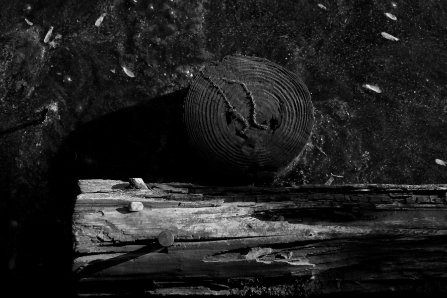 2013 05 21 IMG 07332ebw